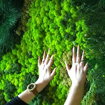 40g de Calitate Artificiale Plante Verzi Viața Veșnică Mușchi de Flori False Moss Iarba de Acasă Living Decorative de Perete DIY Micro Peisaj