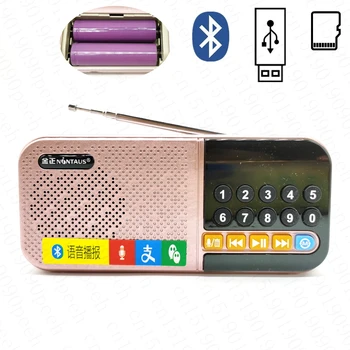Compatibil Bluetooth Difuzor Radio FM Mini-Buzunar Radio MP3 Player de Muzică Digital Recorder Difuzor Suport TF Card USB Disk