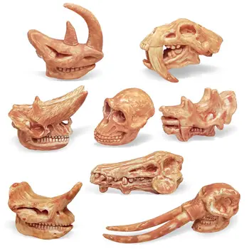 Știință A Naturii Jucărie De Învățământ Pentru Copii Cogniției Animale Fosile Model Arheologice Preistorice Mamifere Craniu Figurine